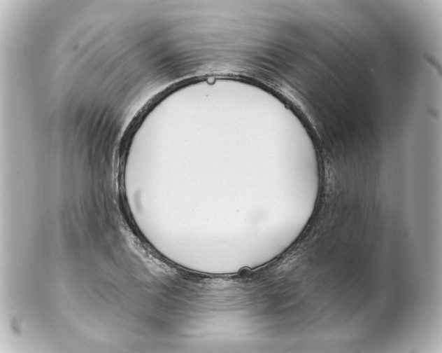 X0000101471124200808041059