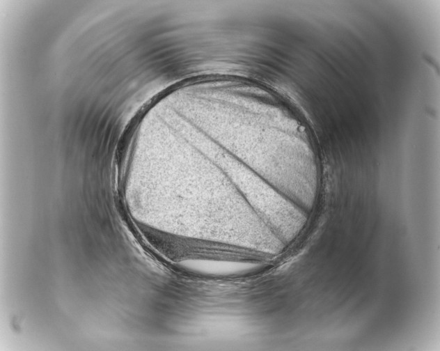 X0000101471125200808041059