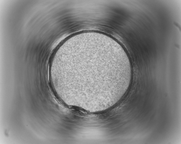 X0000101471127200808041059