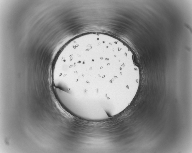 X0000101471128200808041059