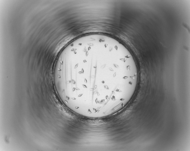 X0000101471129200808041059