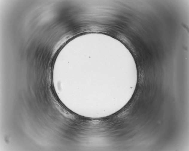 X0000101471130200808041059