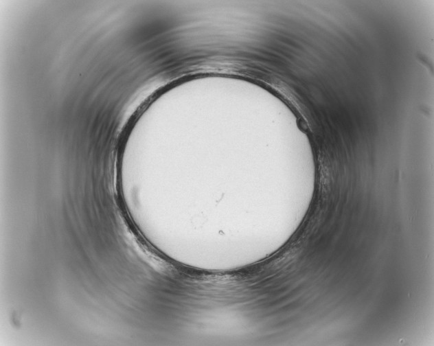 X0000101471131200808041059