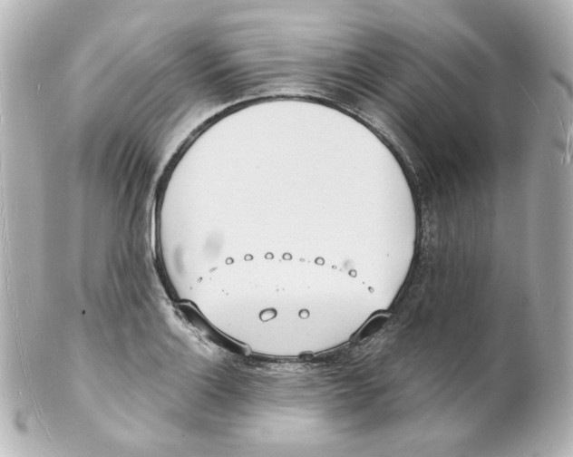 X0000101471132200808041059