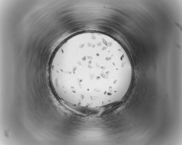 X0000101471133200808041059