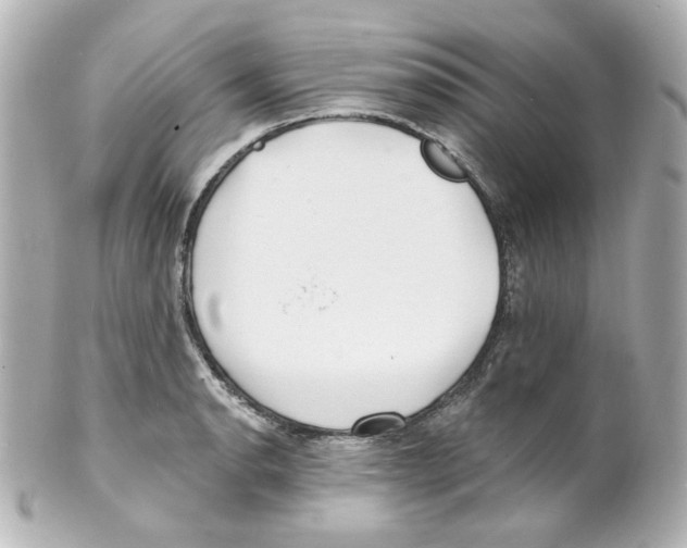 X0000101471134200808041059