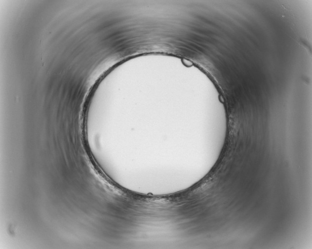 X0000101471135200808041059