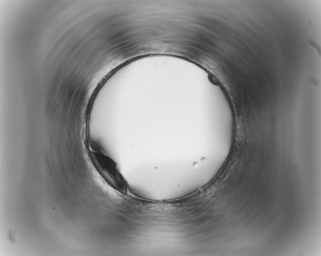 X0000101471136200808041059