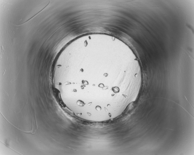 X0000101471141200808041059