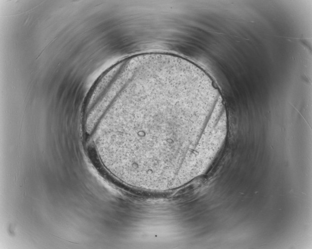 X0000101471142200808041059