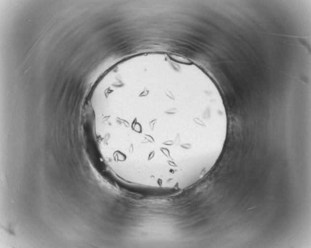 X0000101471143200808041059