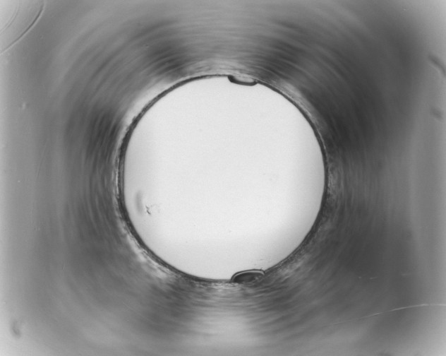 X0000101471144200808041059