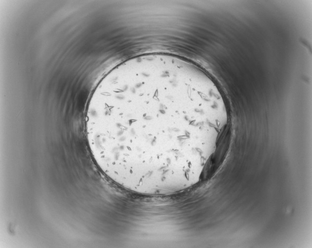 X0000101471145200808041059