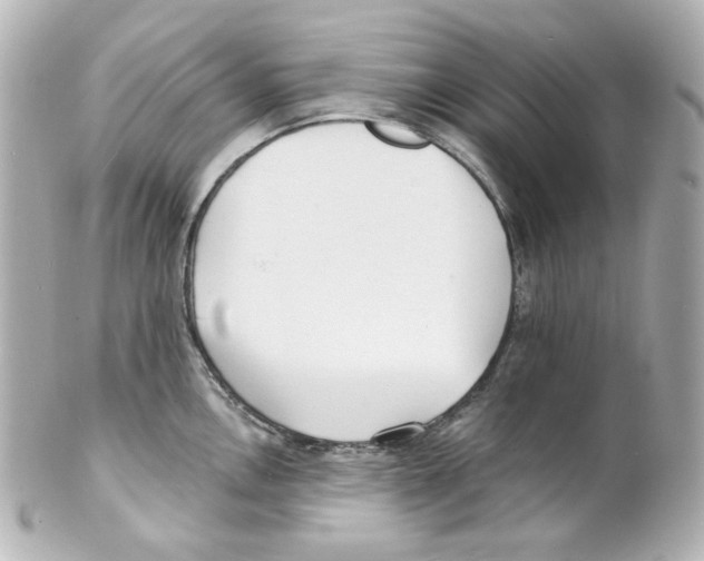 X0000101471146200808041059