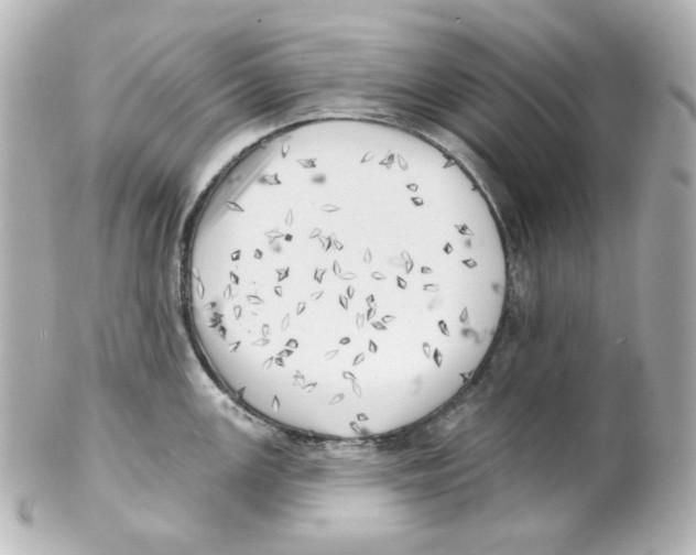 X0000101471147200808041059