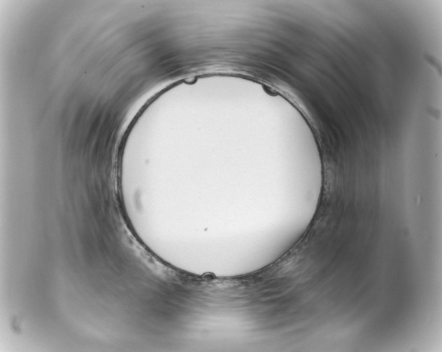 X0000101471148200808041059