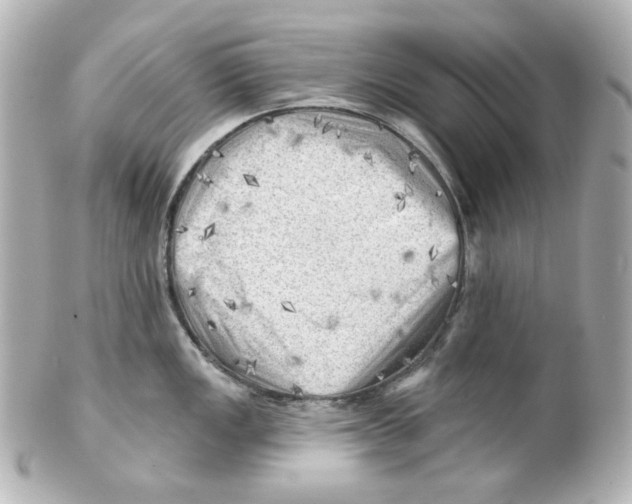 X0000101471149200808041059