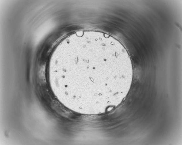 X0000101471150200808041059