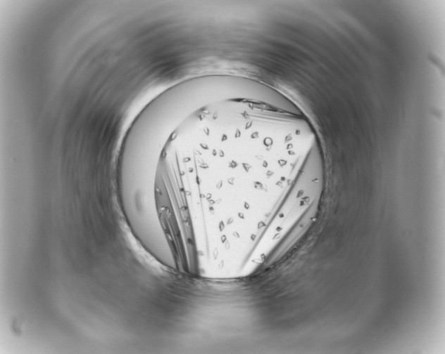 X0000101471152200808041059