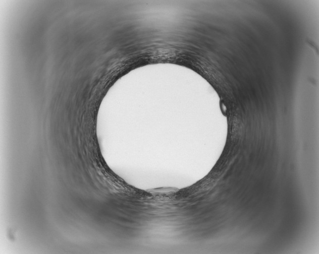 X0000101471153200808041058