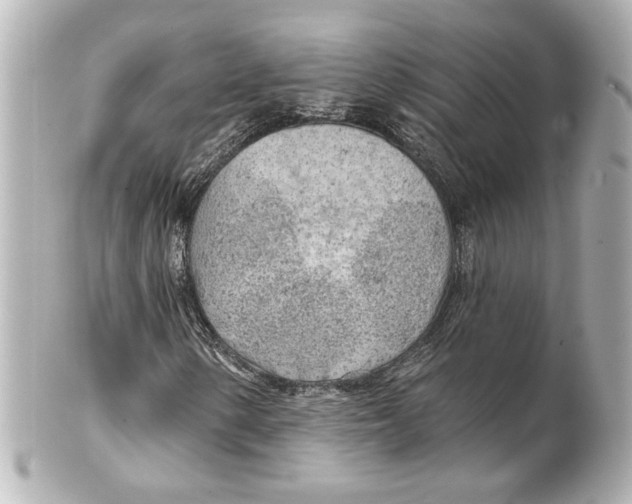 X0000101471154200808041058