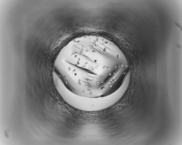 X0000101471157200808041058