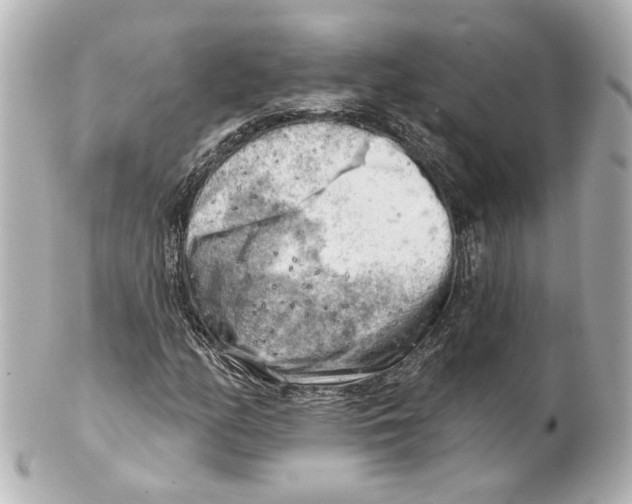 X0000101471158200808041058