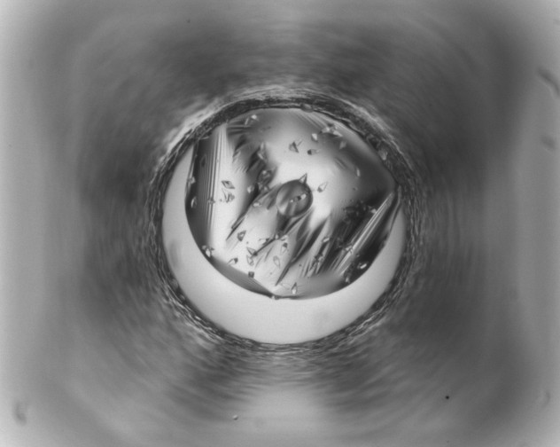 X0000101471160200808041058