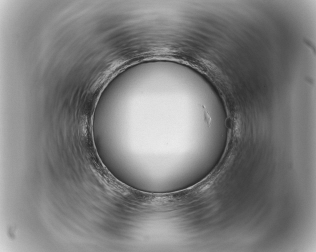 X0000101471161200808041058