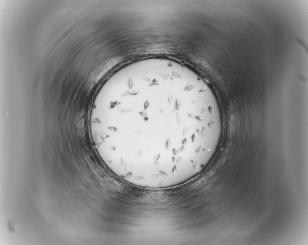 X0000101471162200808041058