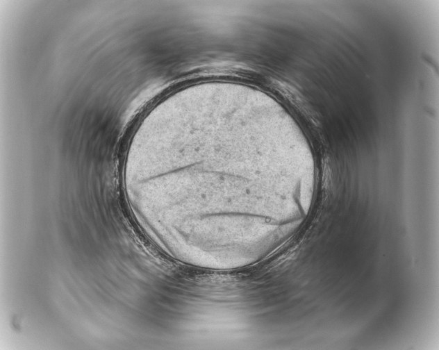 X0000101471164200808041058