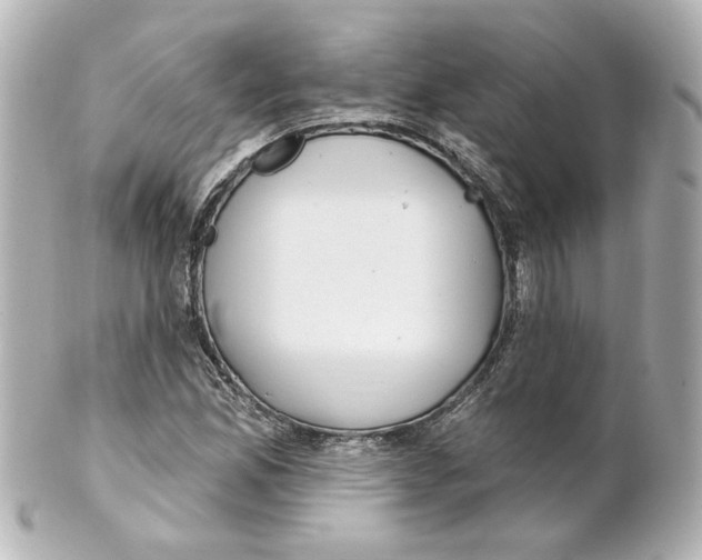 X0000101471165200808041058