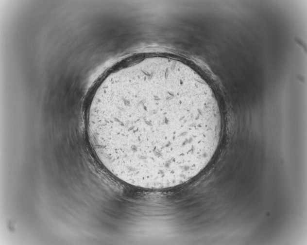 X0000101471167200808041058