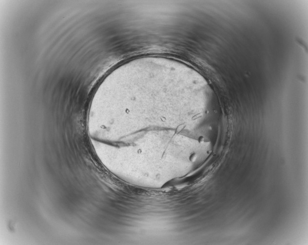 X0000101471170200808041058