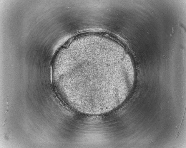 X0000101471171200808041058