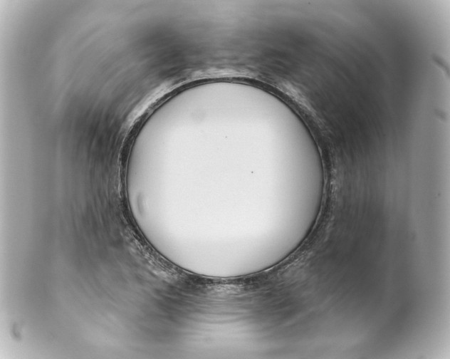 X0000101471173200808041058