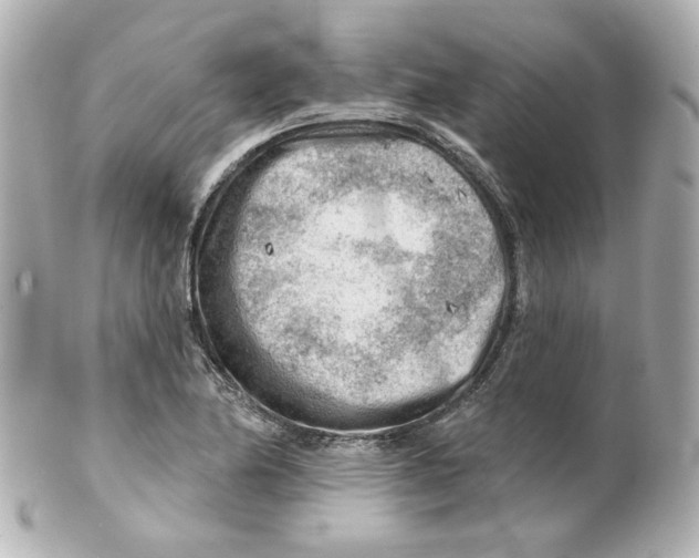 X0000101471174200808041058