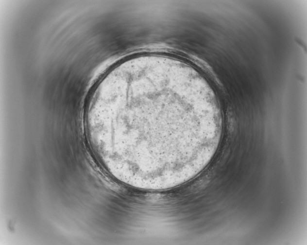 X0000101471176200808041058