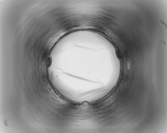 X0000101471177200808041058