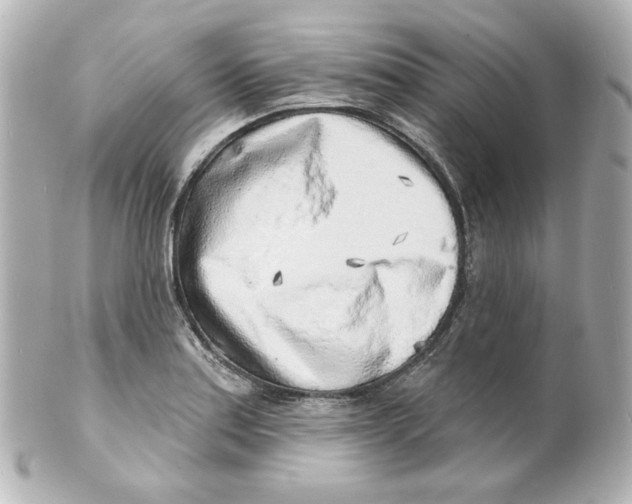 X0000101471179200808041058