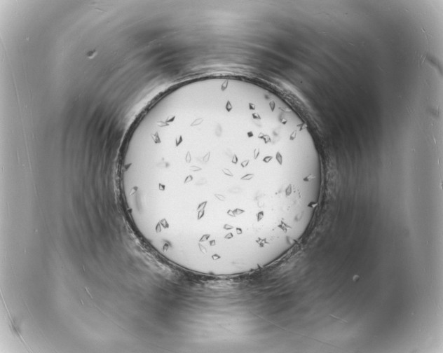 X0000101471182200808041058