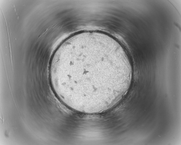 X0000101471183200808041058