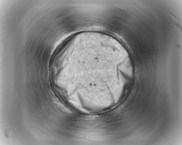 X0000101471184200808041058