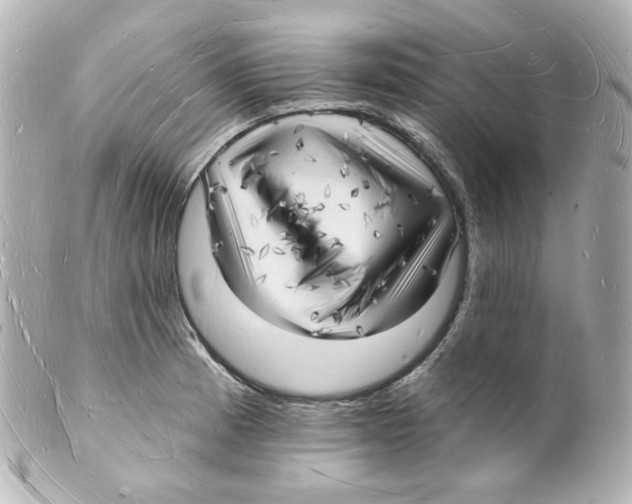 X0000101471185200808041058