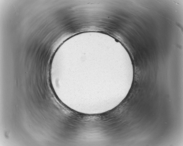 X0000101471187200808041058