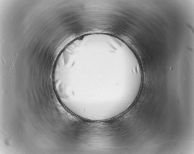 X0000101471189200808041058