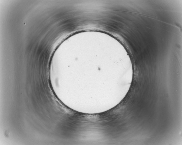 X0000101471191200808041058