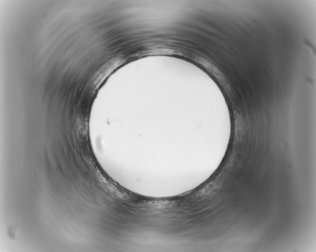 X0000101471193200808041058