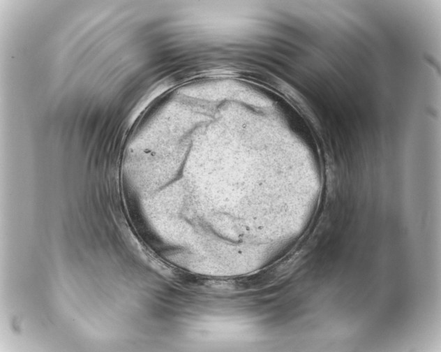 X0000101471194200808041058