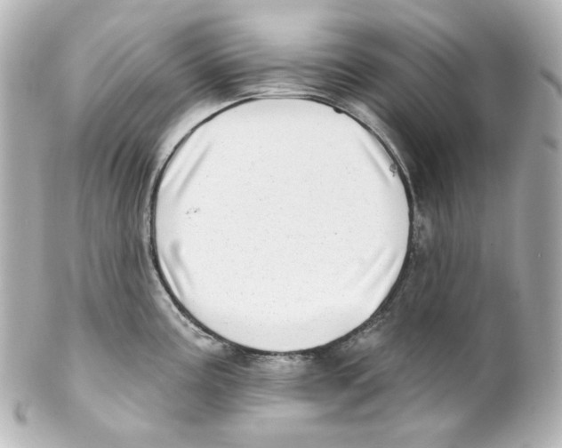 X0000101471195200808041058